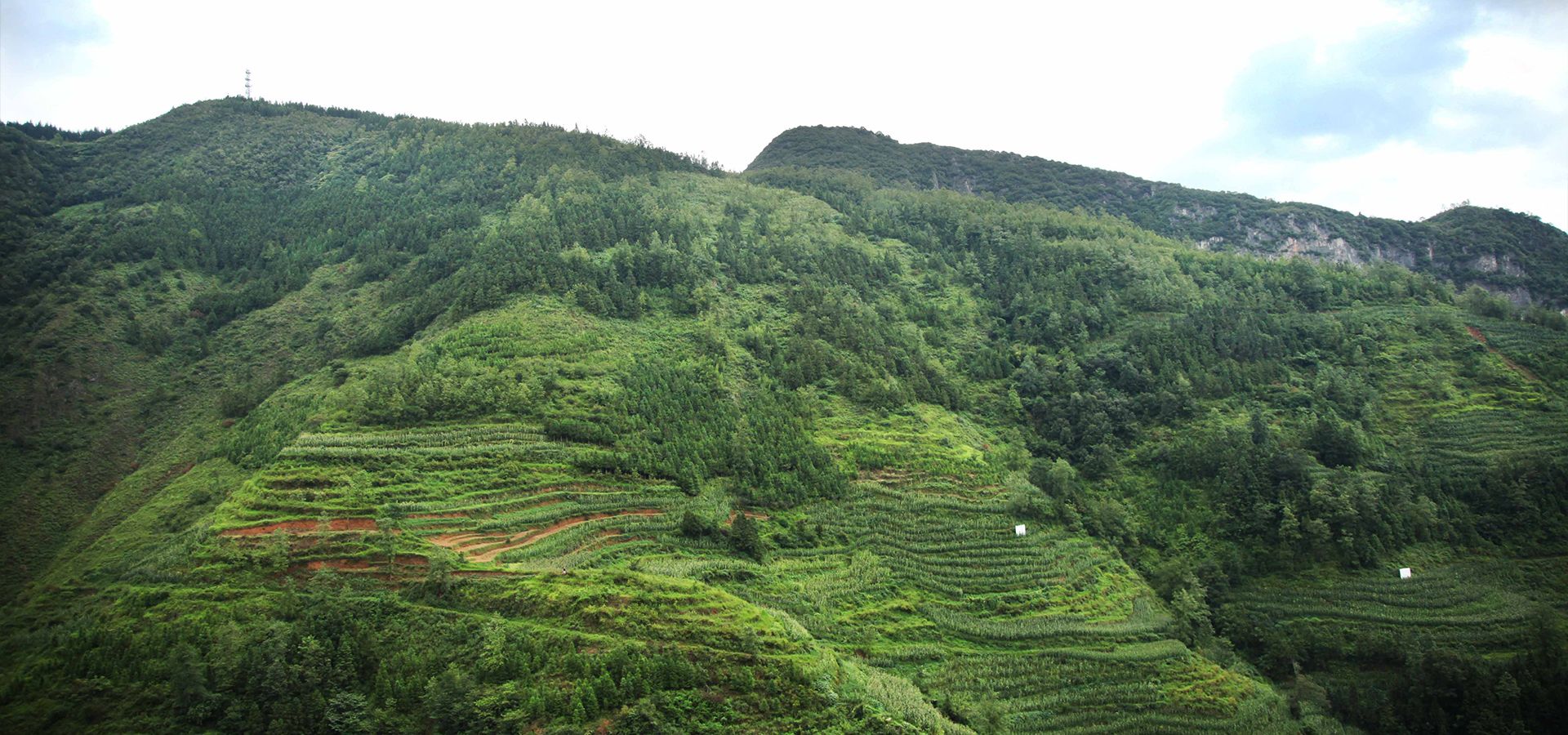 Lecapell气候保护项目 Lecapell气候保护项目