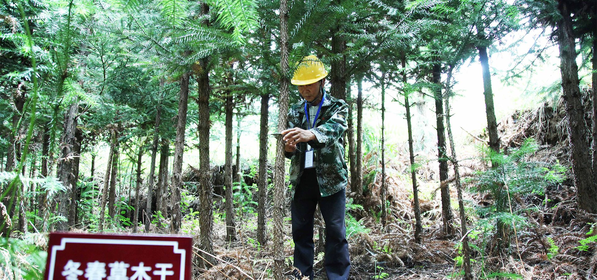 Lecapell气候保护项目 Lecapell气候保护项目