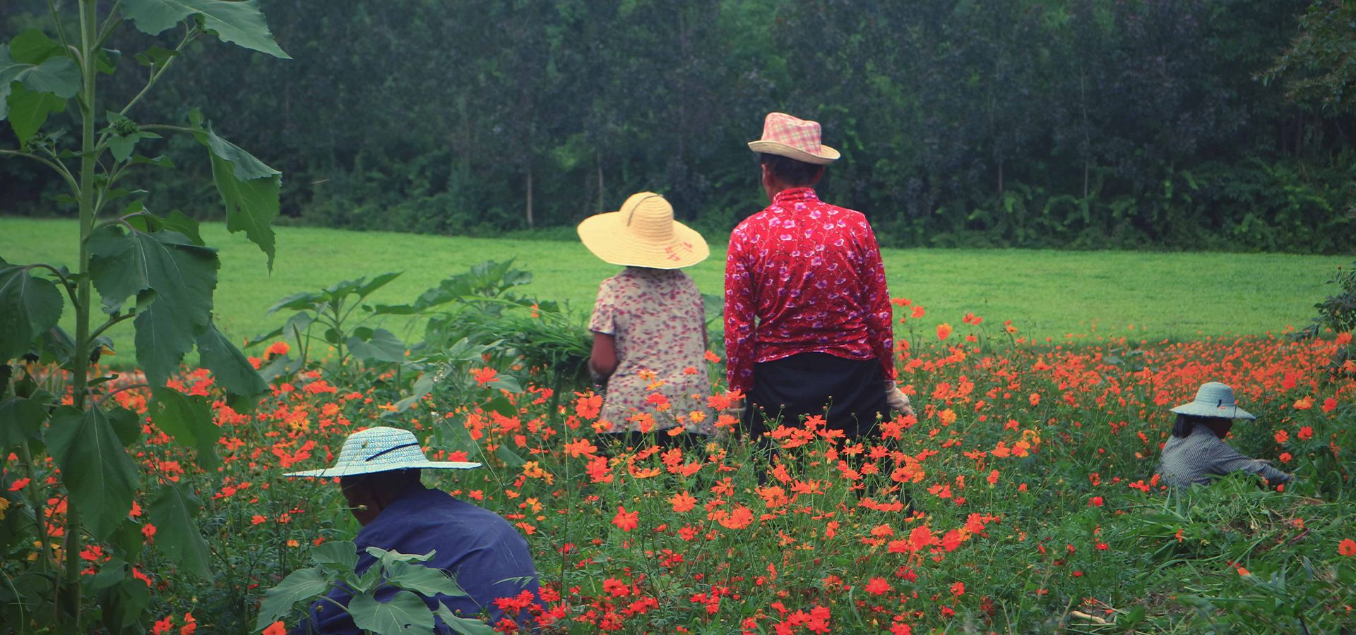 Lecapell气候保护项目 Lecapell气候保护项目