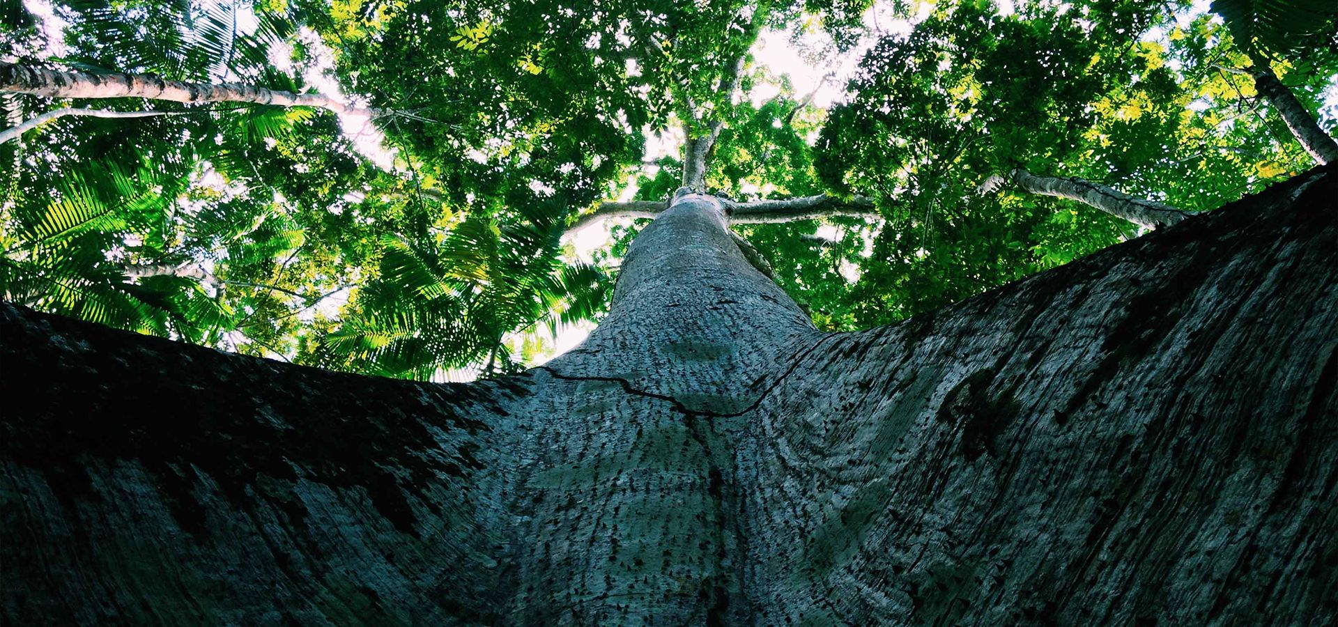 Lecapell气候保护项目 Lecapell气候保护项目