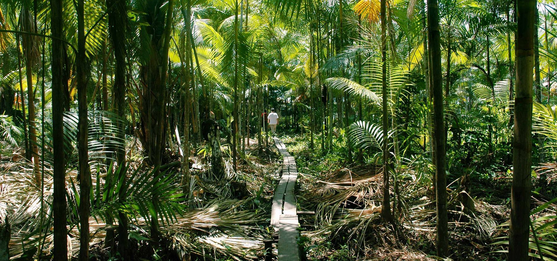 Lecapell气候保护项目 Lecapell气候保护项目