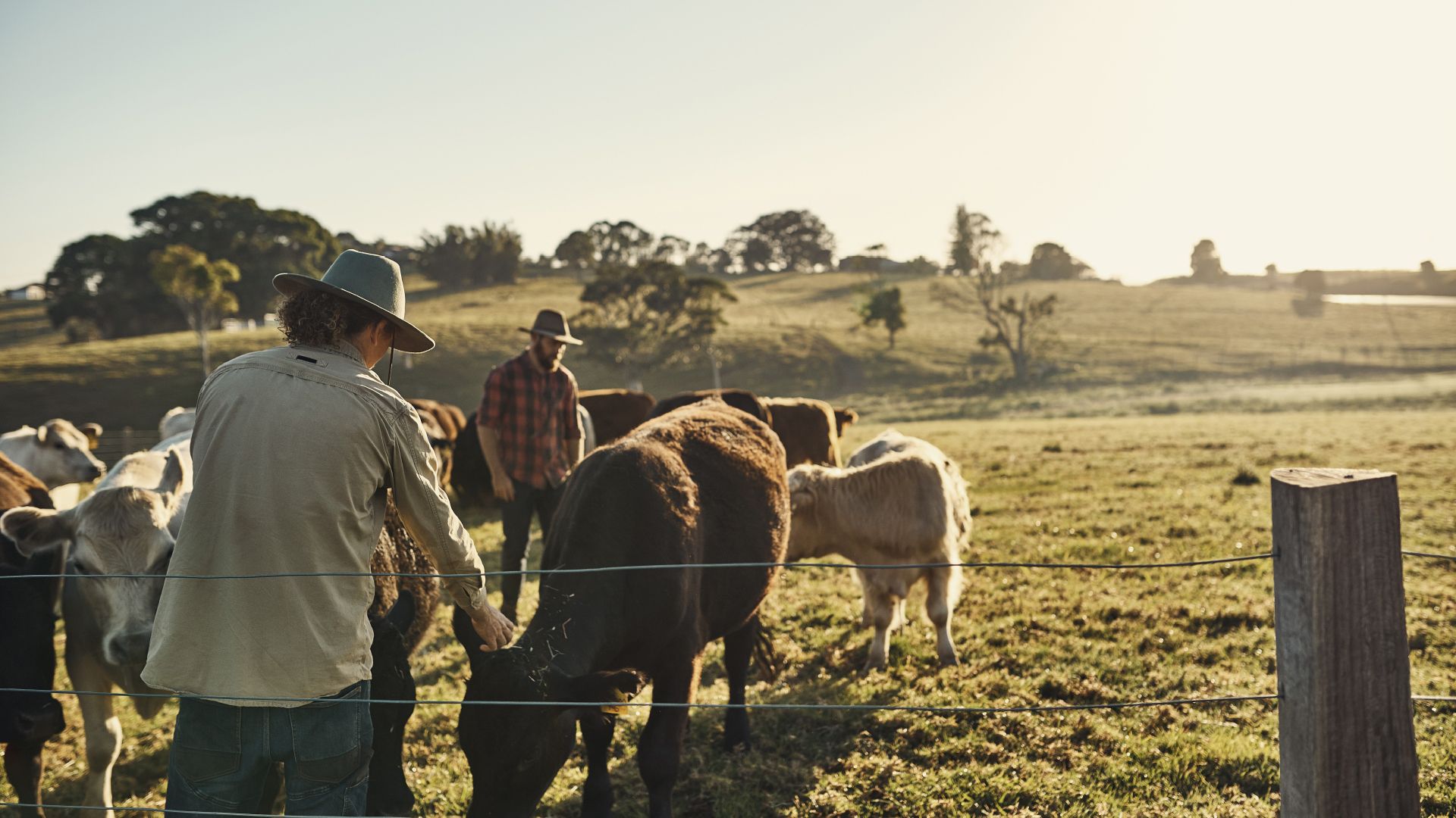 Empresa - Innovación con sostenibilidad Empresa - Innovación con sostenibilidad
